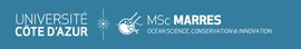 Logo https://univ-cotedazur.eu/msc/marres